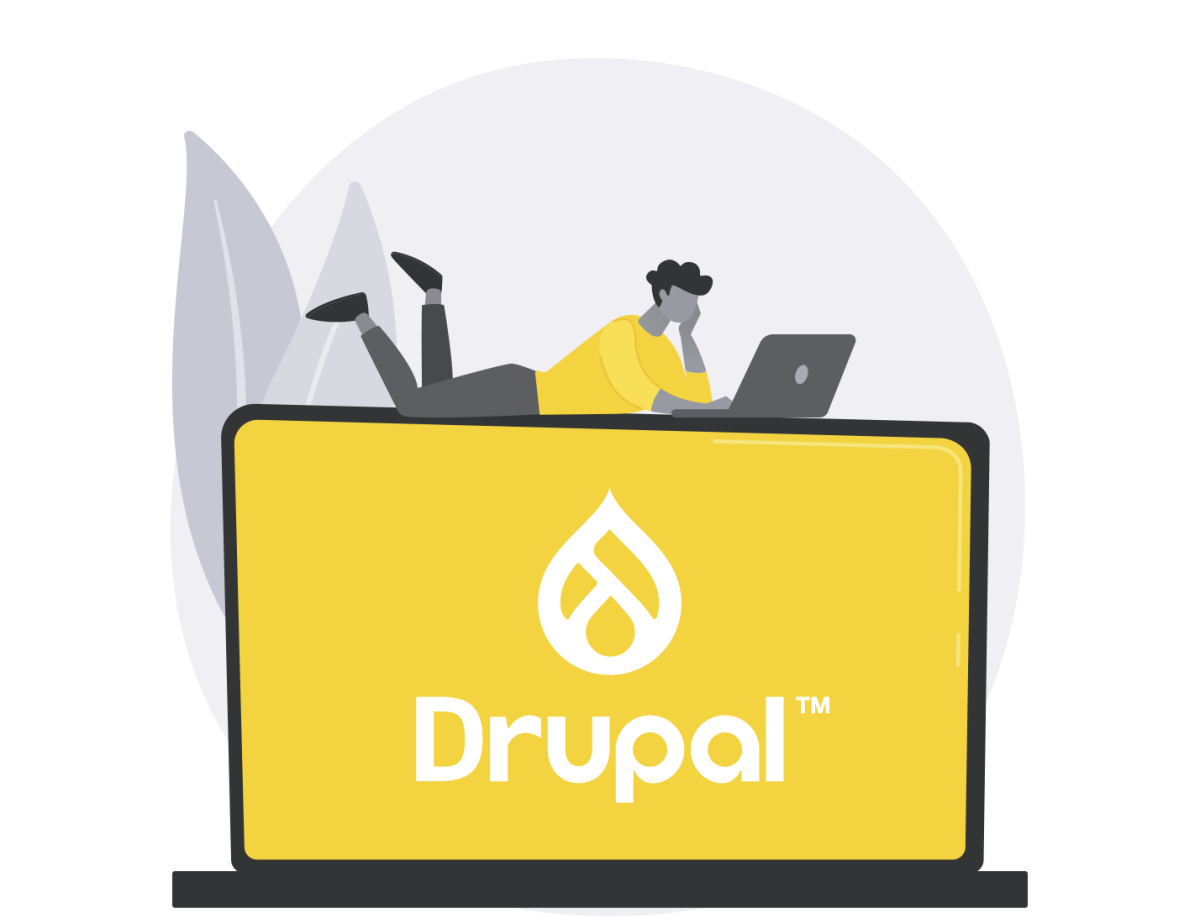 drupal update